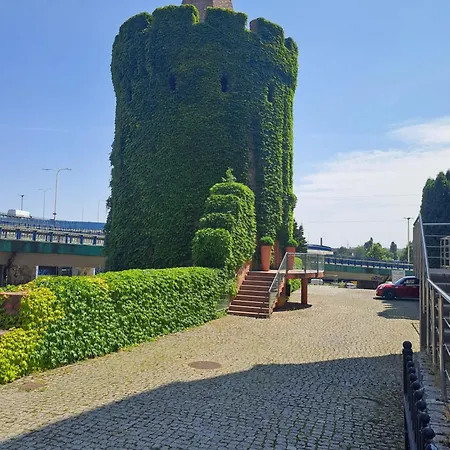 Krysztalowy *